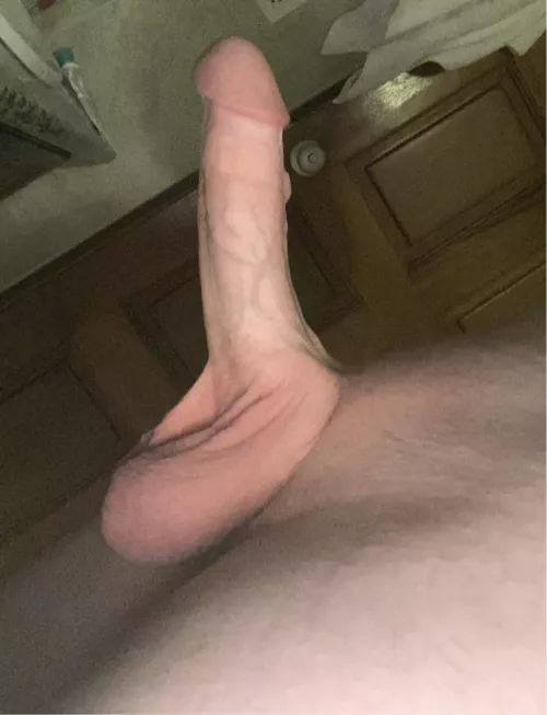 What are your thoughts on my hard, circumcised dick?