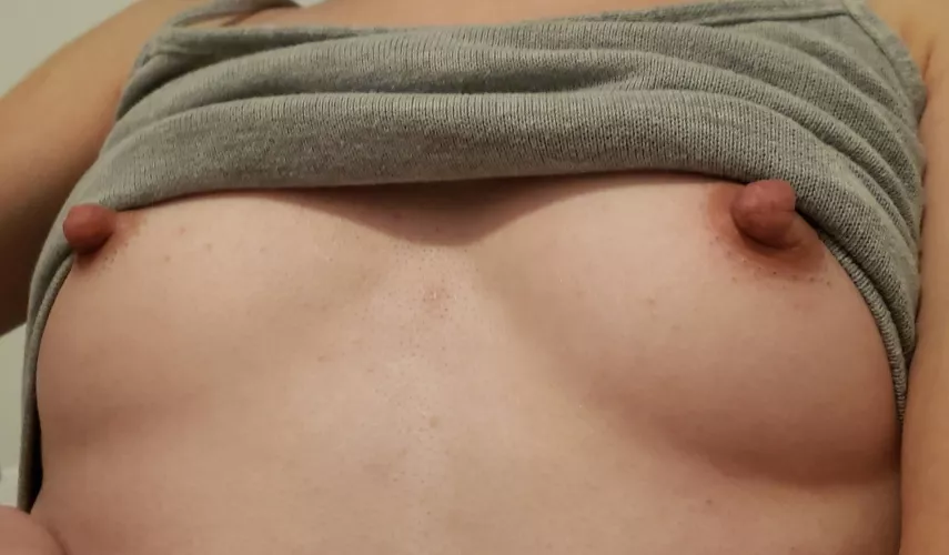 What do you think of my titties?