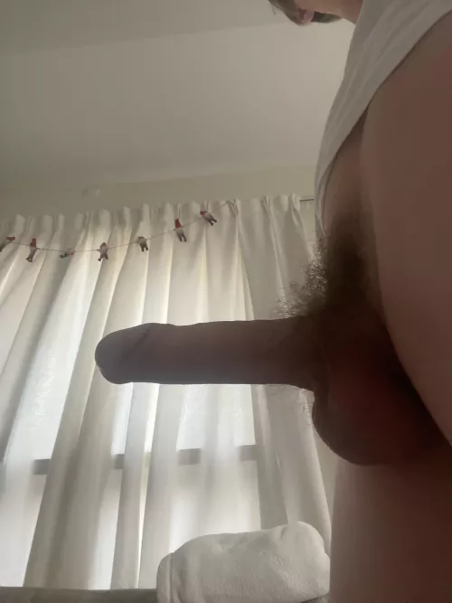 What do you want to see the most?