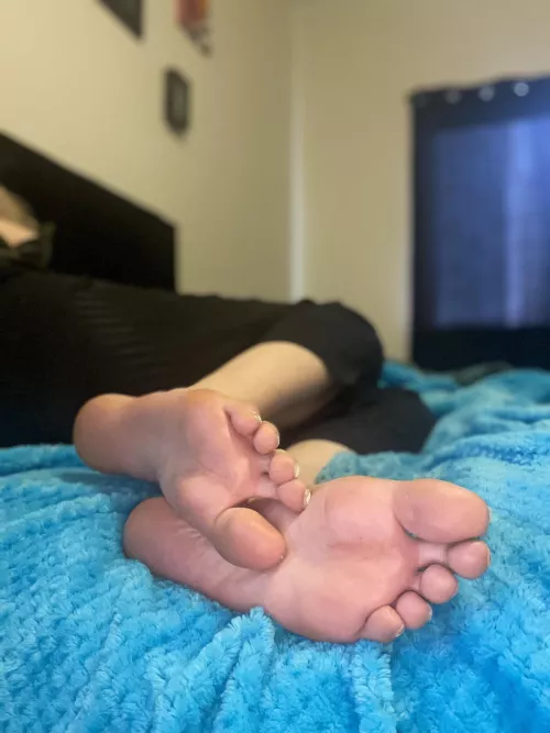 while you’re down there mind licking them?