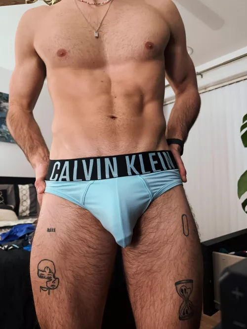 Who likes my briefs?