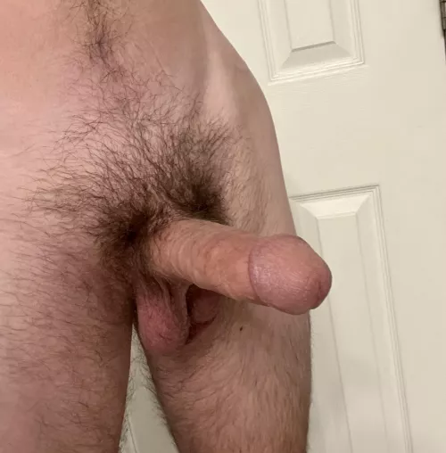 [30] getting ready for playtime tonight