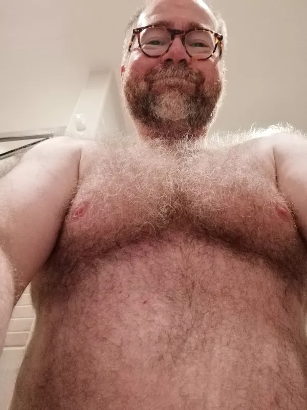 (53) Daddy Hairy Bear