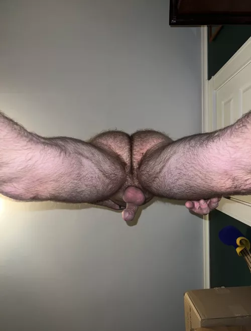 about to sit on your face