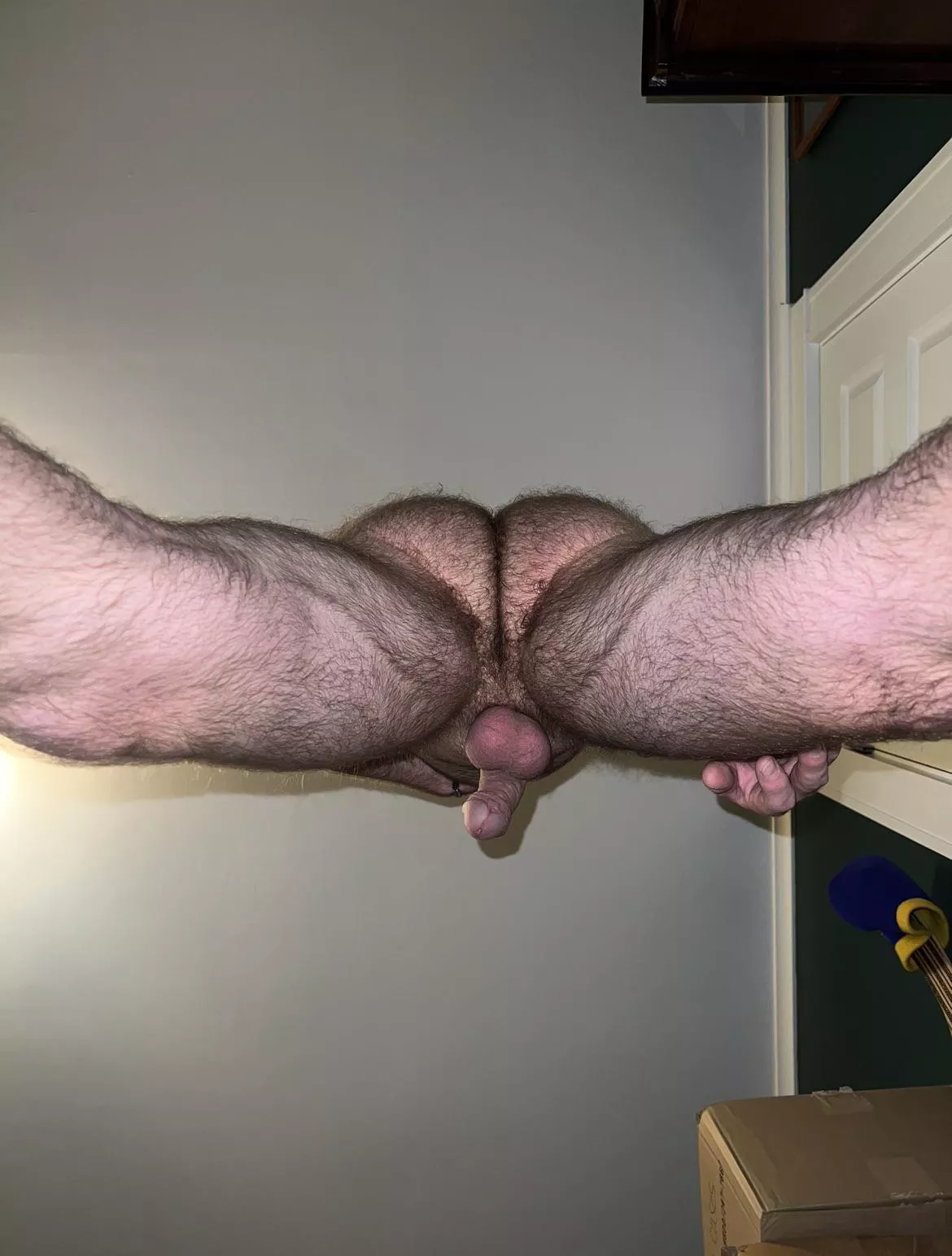 about to sit on your face