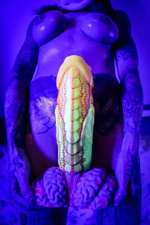 After some searching, I found a cuttlefish ;-)