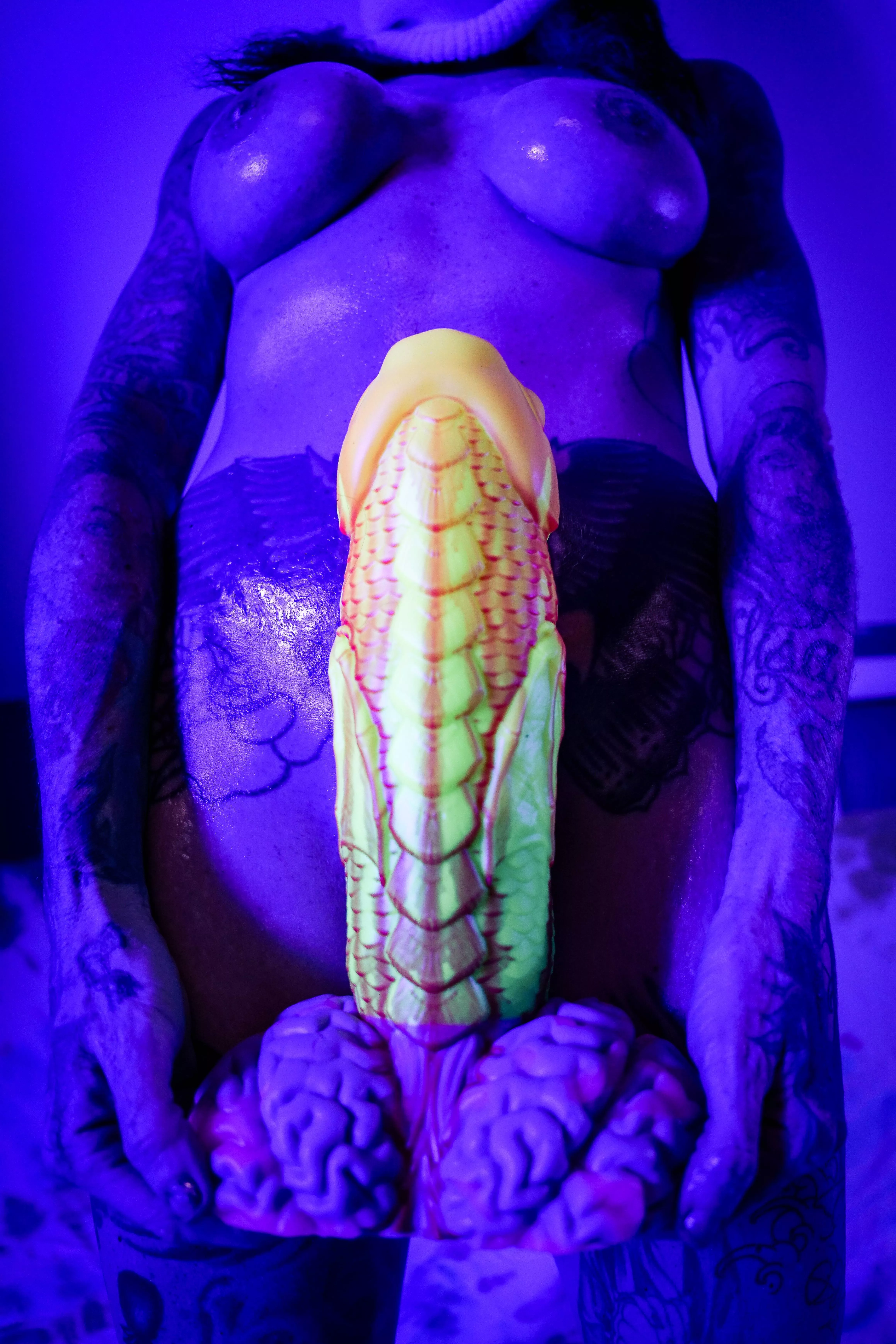 After some searching, I found a cuttlefish ;-)