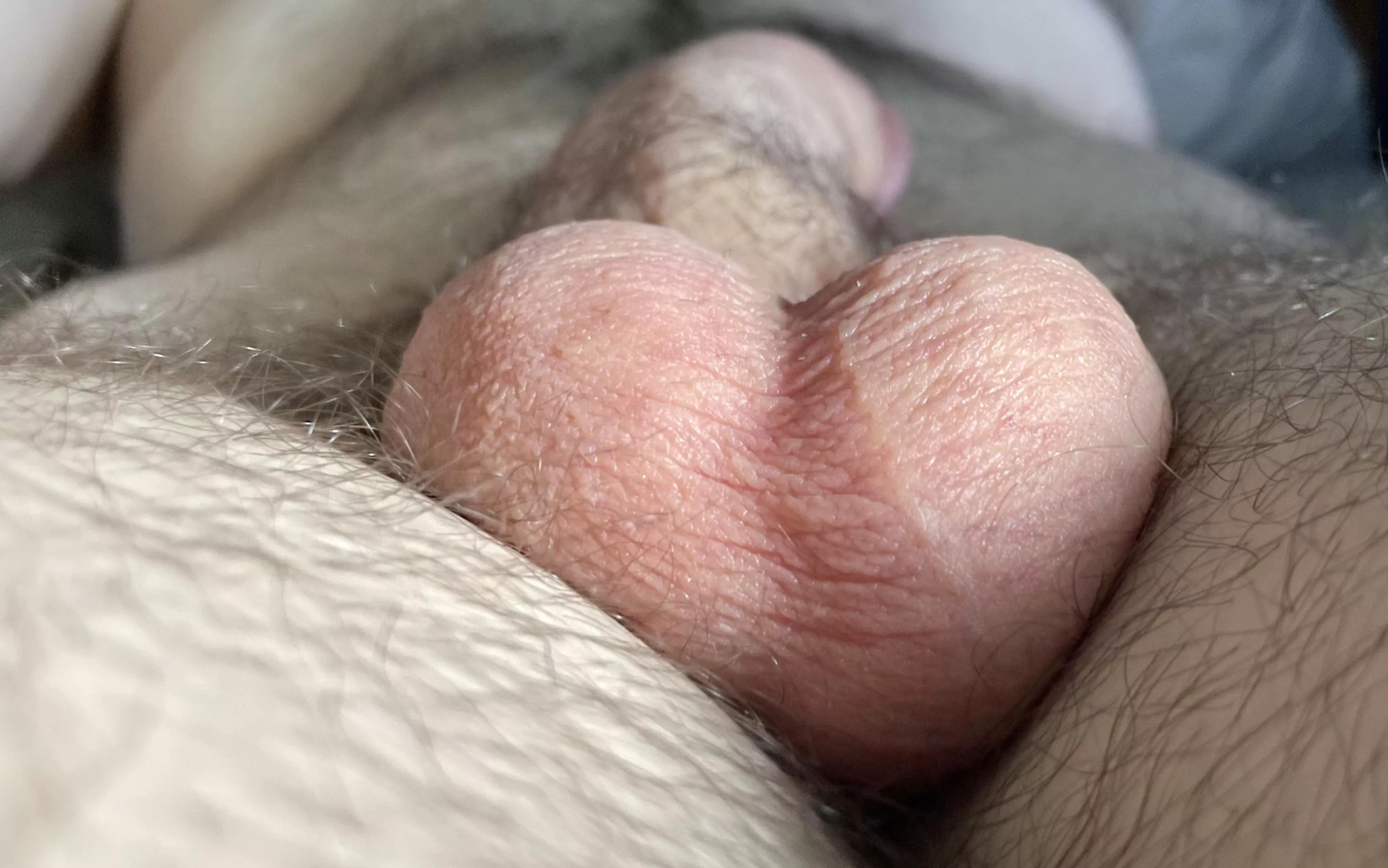 Any cute guys out there like the idea of hurting these? Check out my profile 🤣