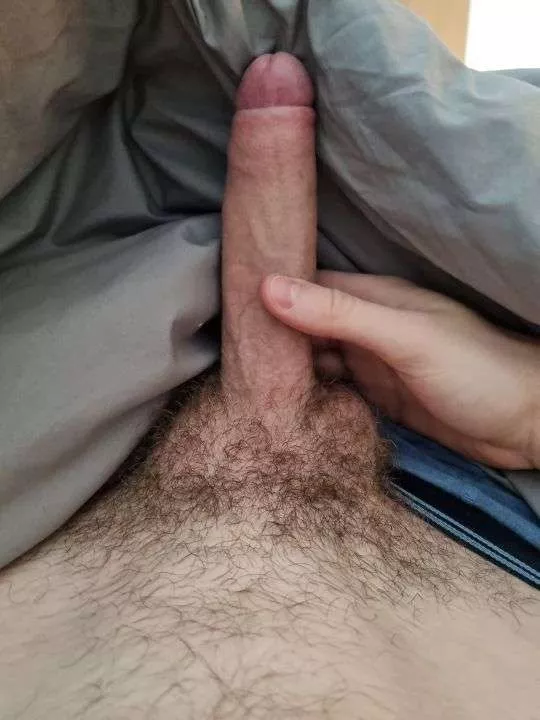 Any love for my Morning Wood?