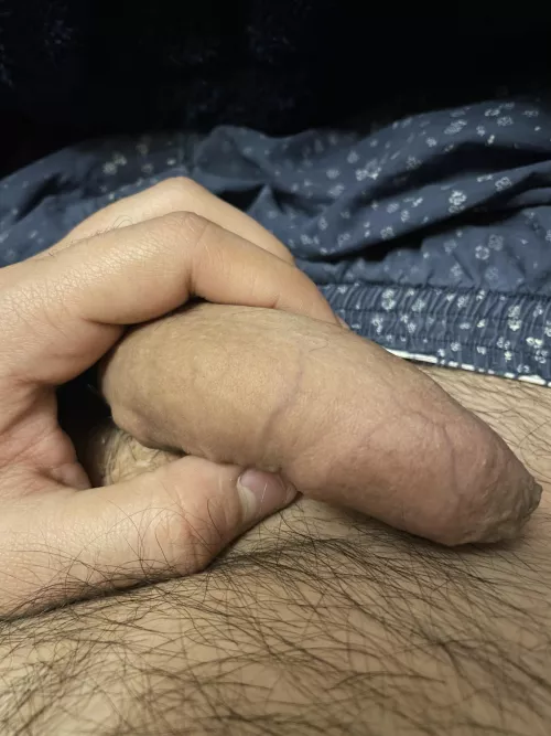 Anyone would like to help my semi..?