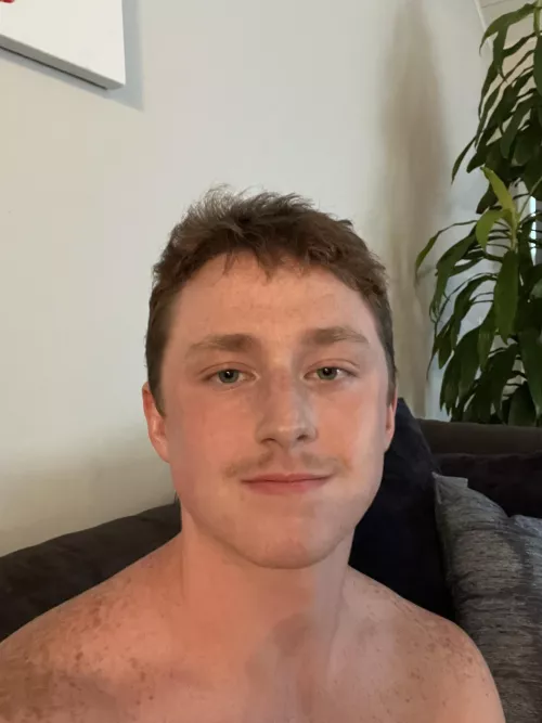 been feeling a little lonely lately, anyone wanna cheer me up?