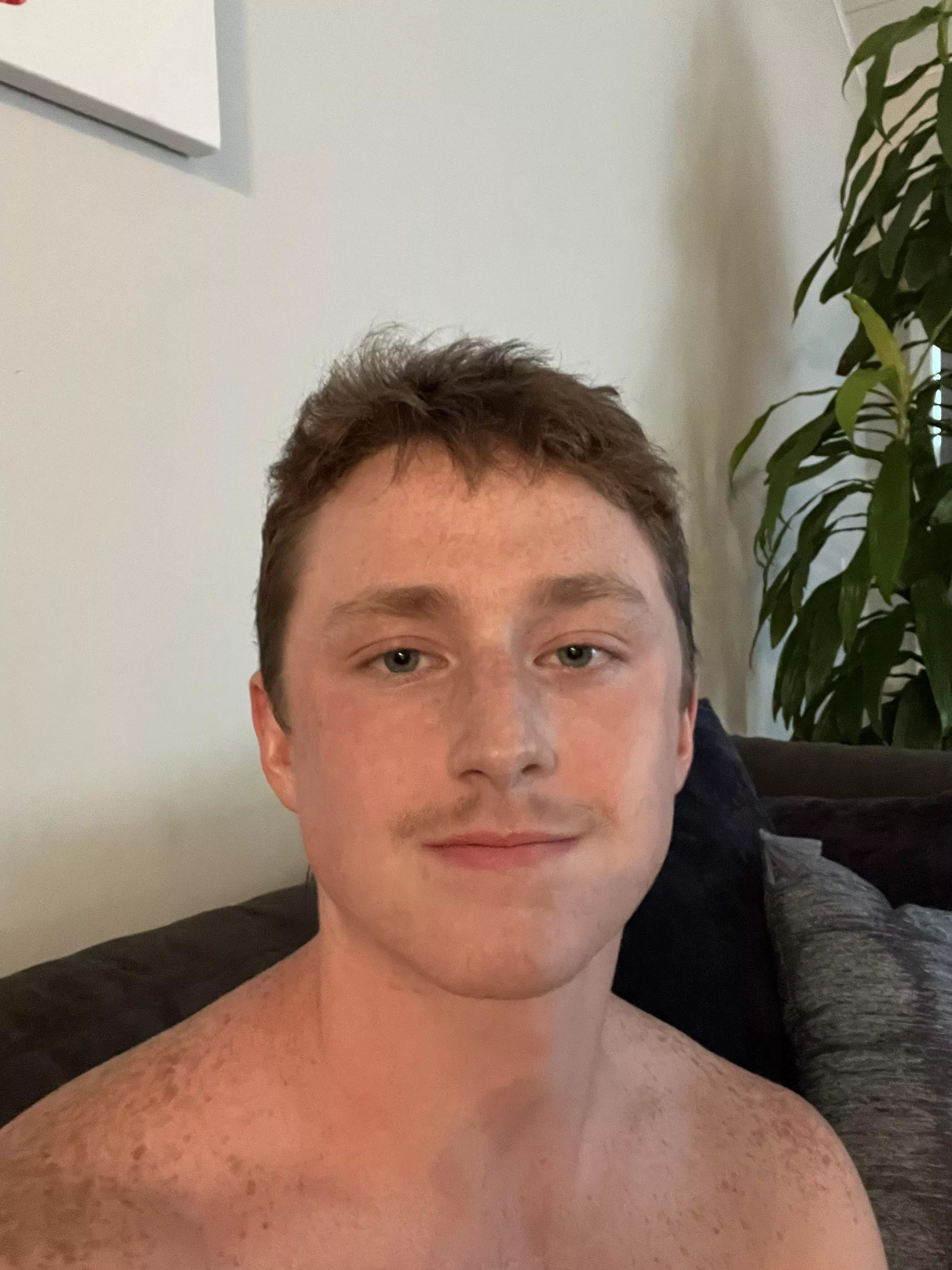 been feeling a little lonely lately, anyone wanna cheer me up?