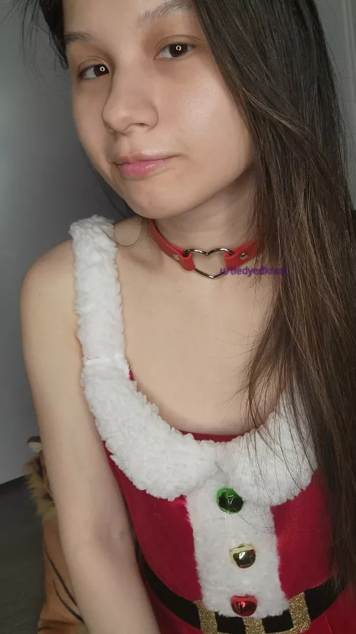 can I be your next Xmas present