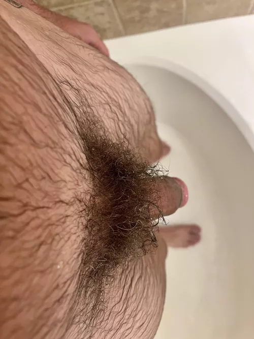 Don’t remember the last time I let it grow this much