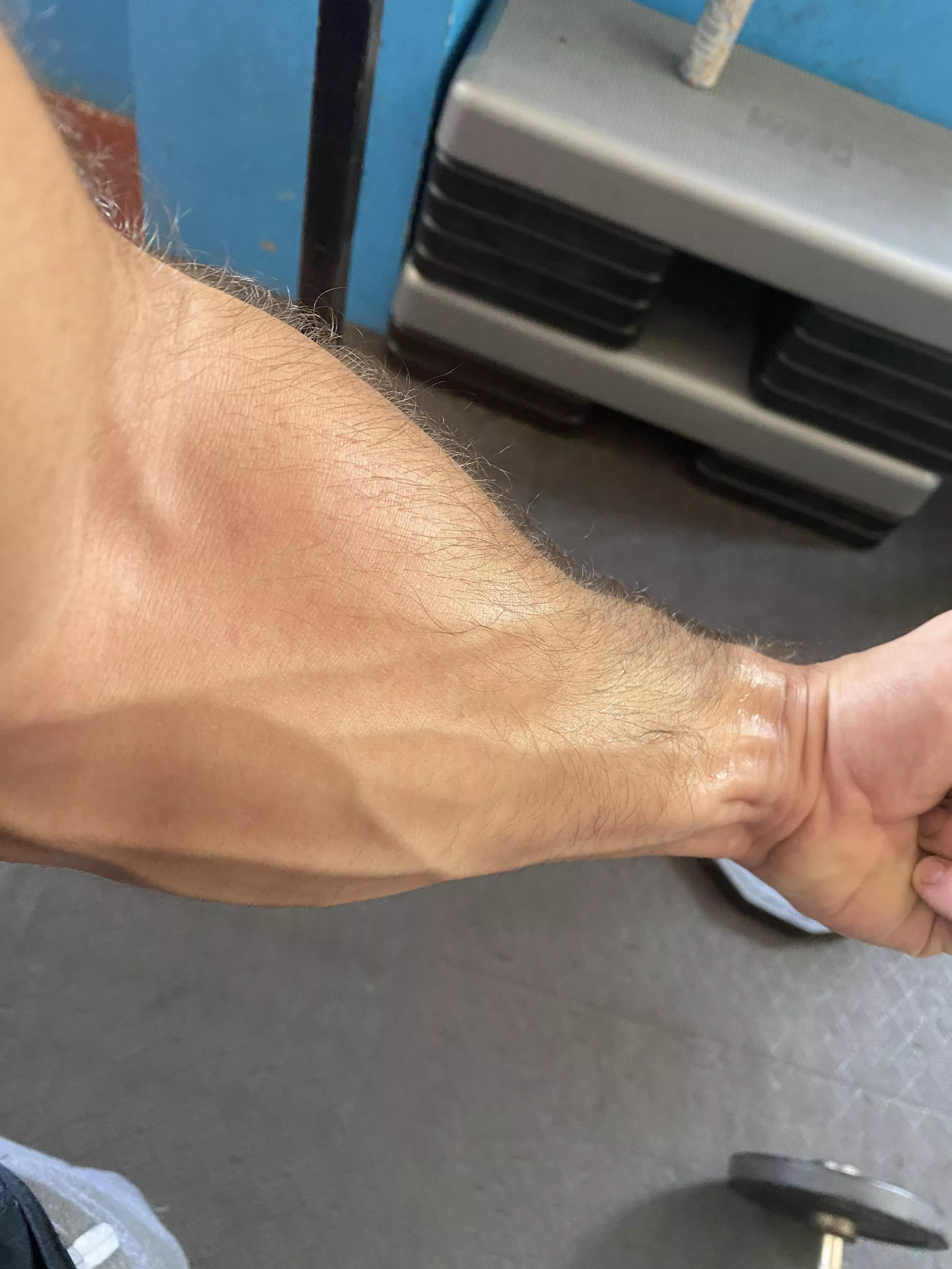 Got a good forearm pump today