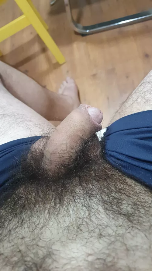 Growing... i like the hair in penis base