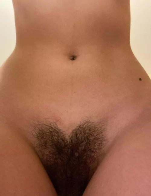 Heart Shaped Bush [oc]