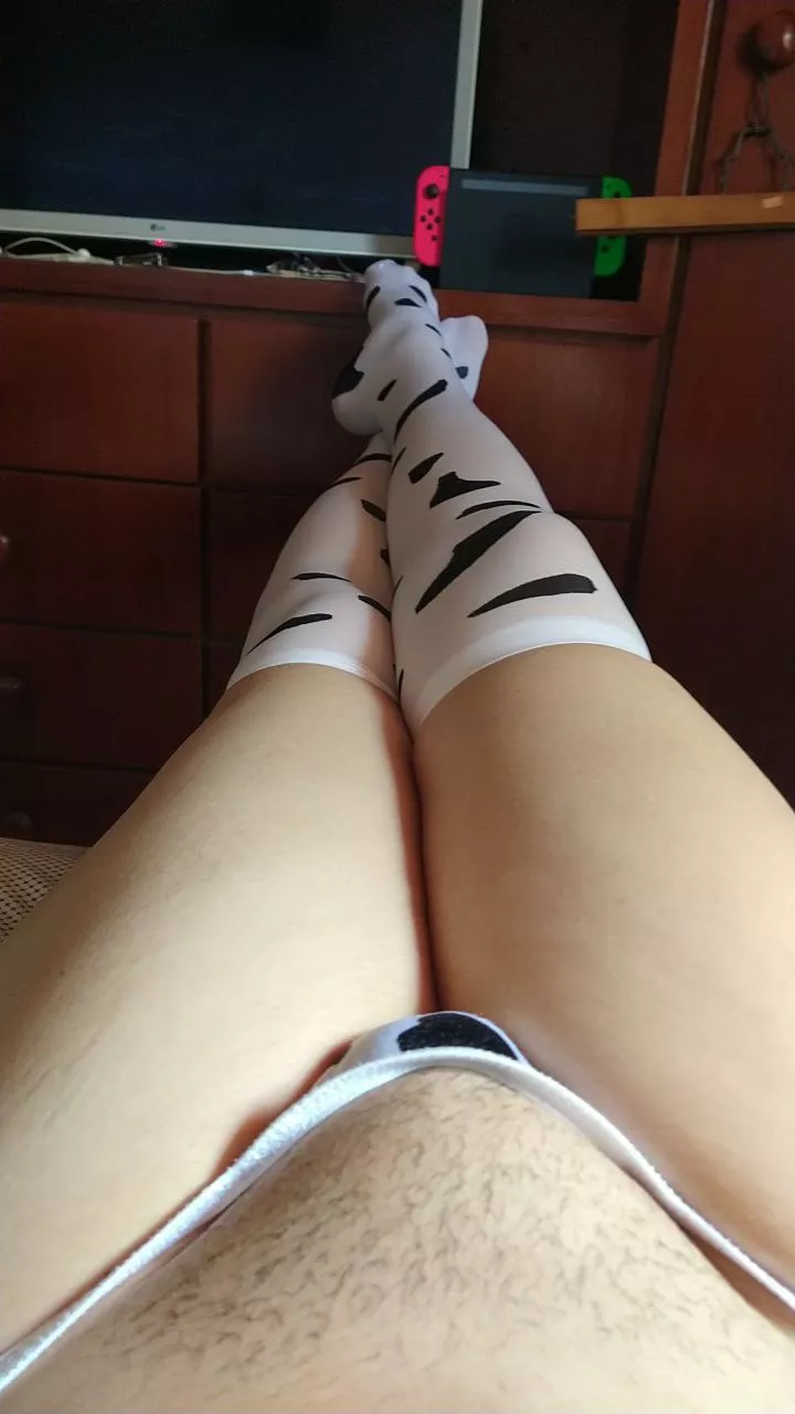 Hooves pic for you 🐮 (oc)