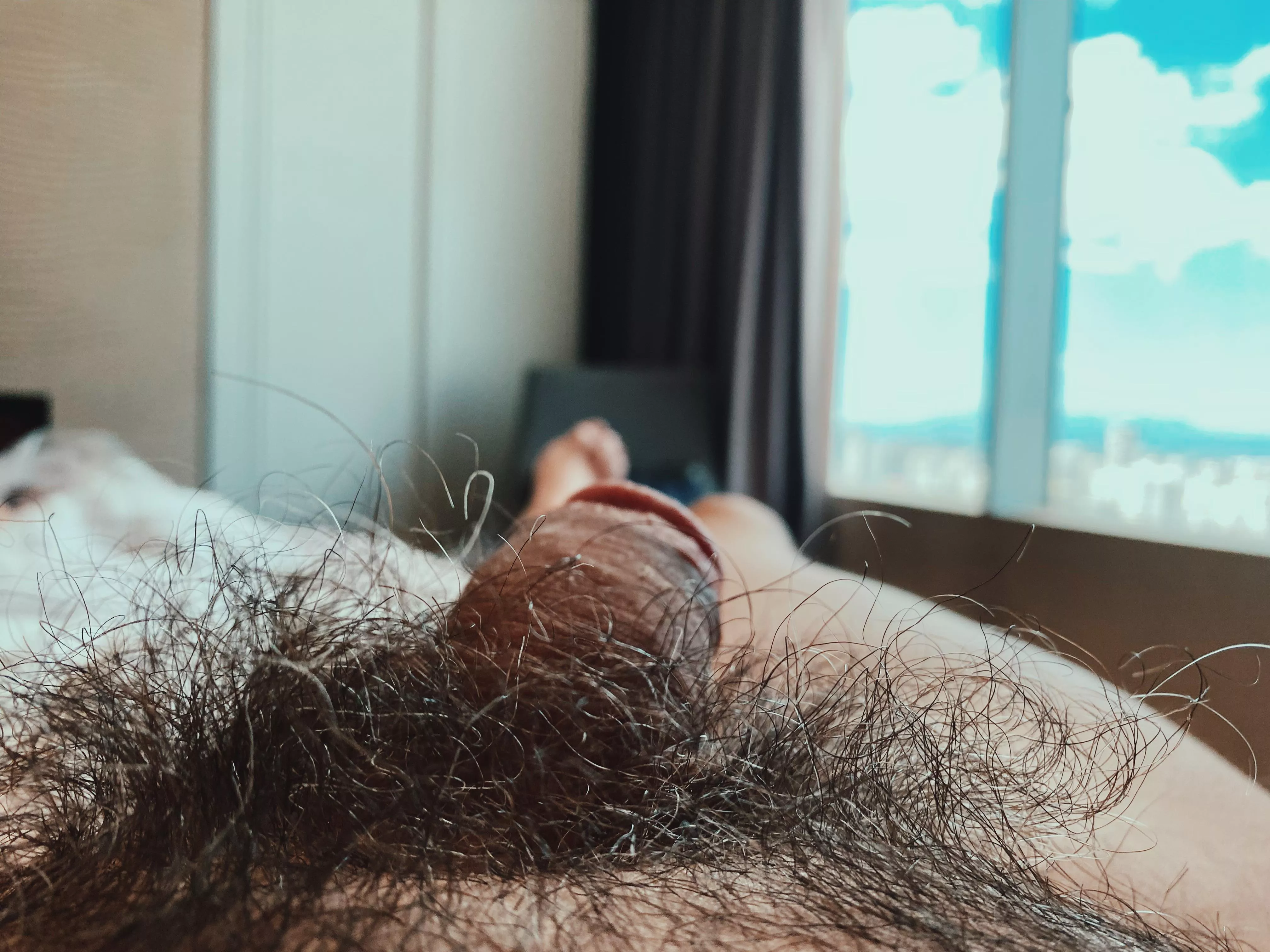 Hotel. Motel. Holiday Bushhh.