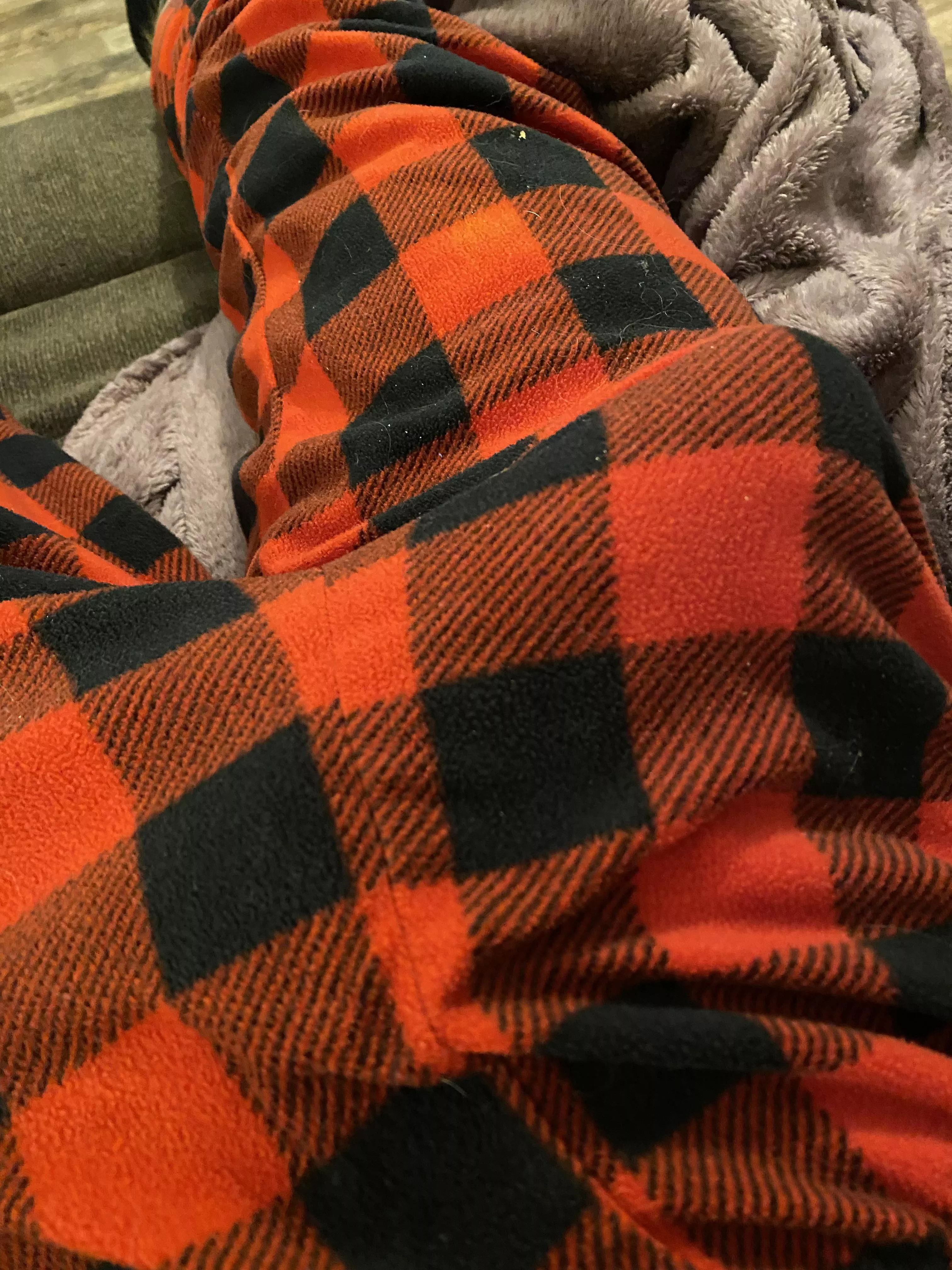 I’m horny… again