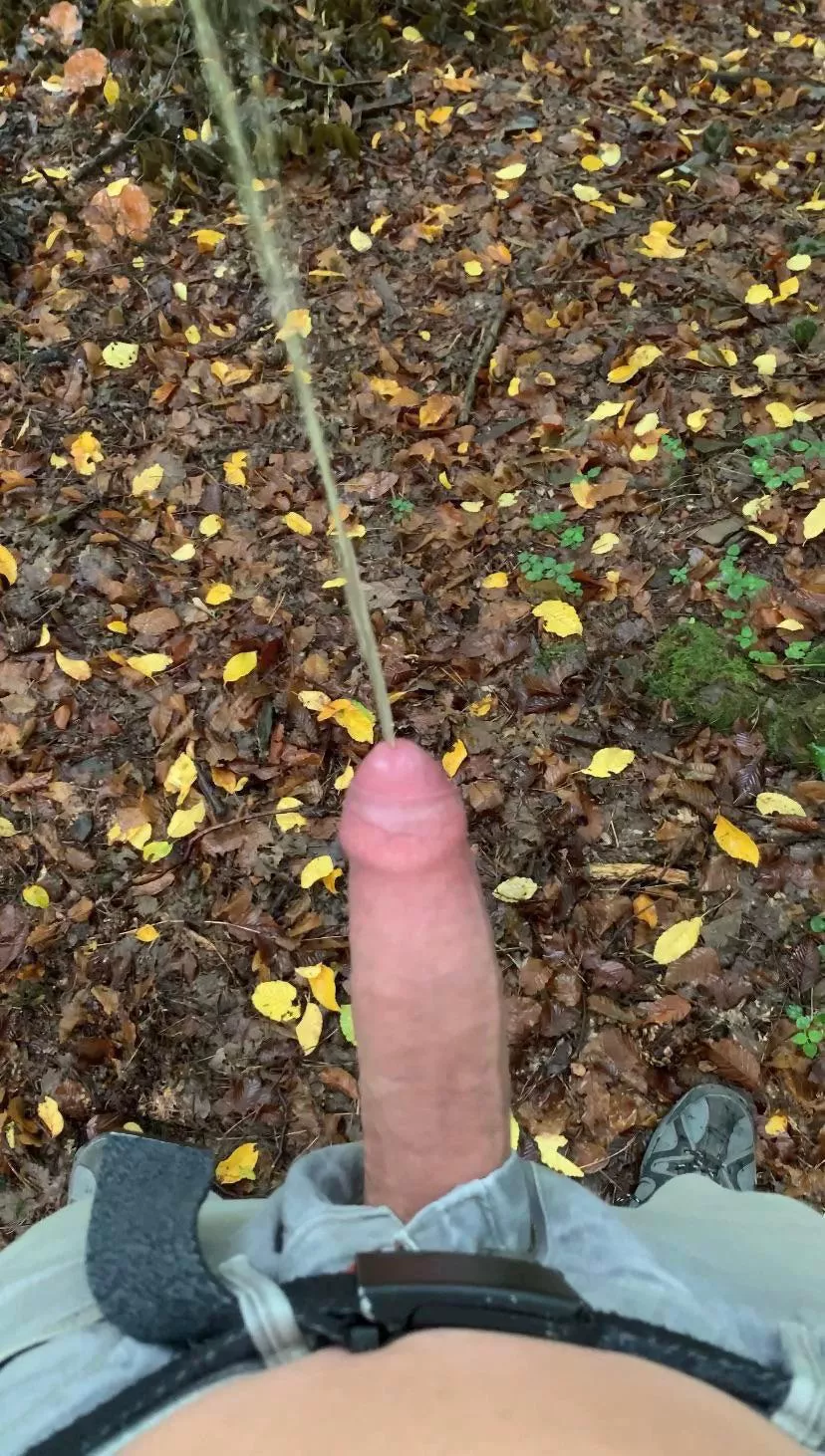 In a forest someone saw me 🤪 Any piss lovers here? Hmu in dms, please 18 to 35