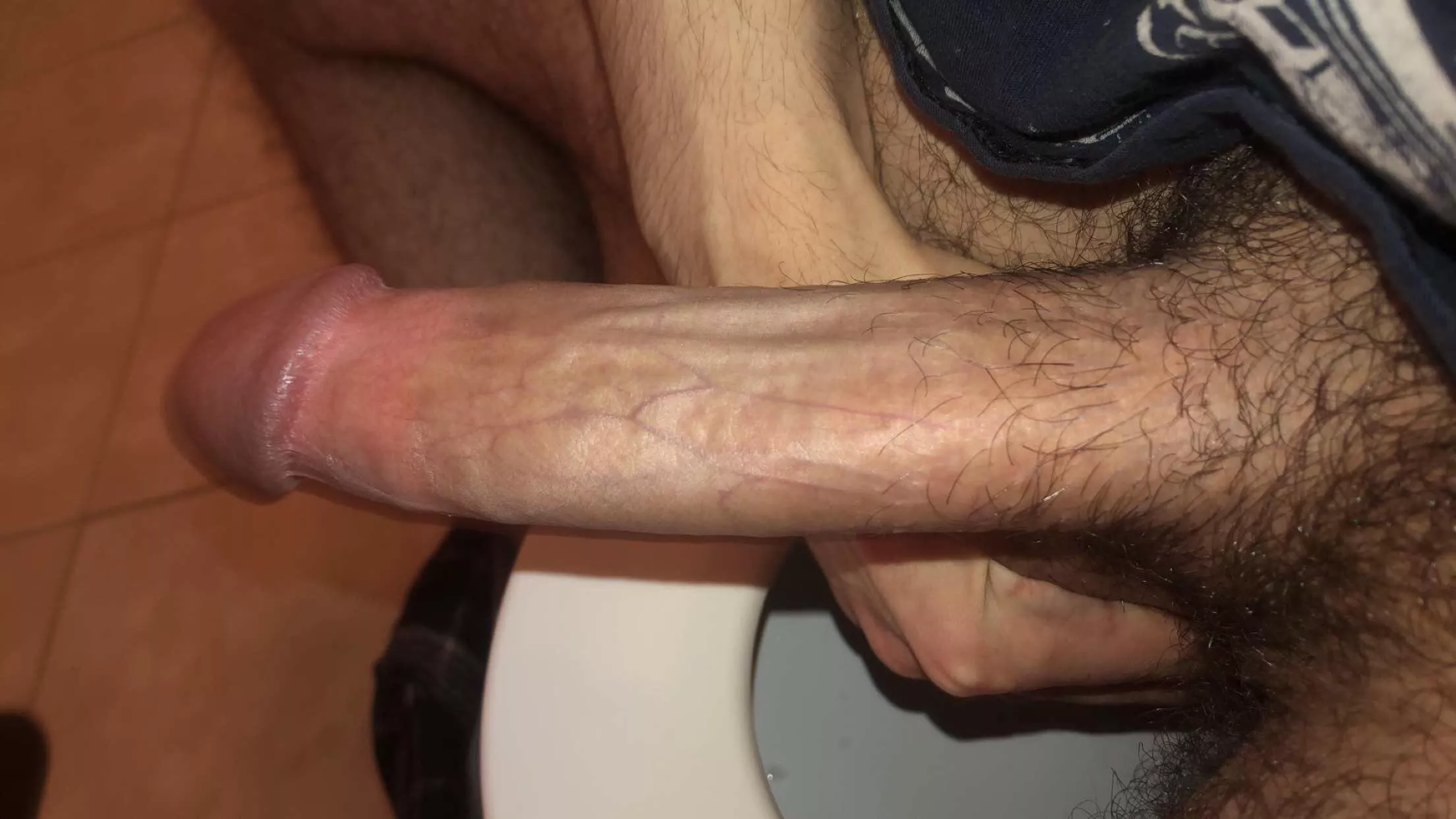 My cock wants in