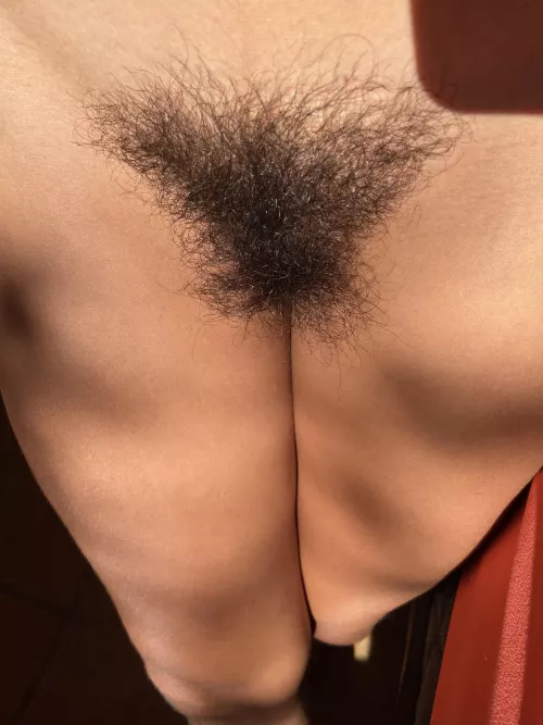 My hair looks like a butterfly