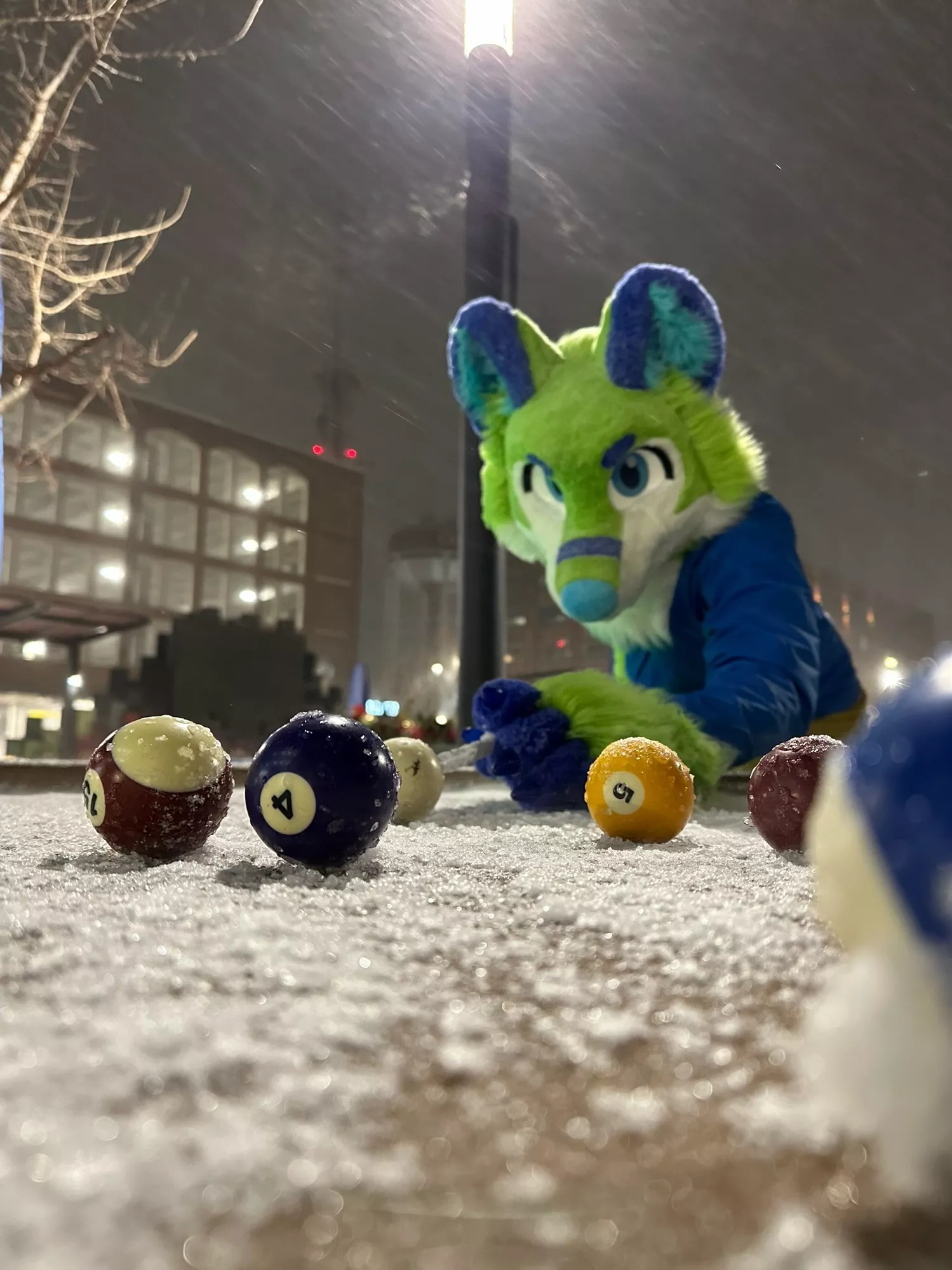 Perfect weather for a husky!