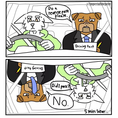 Reverse parking - @ImperialSheperd