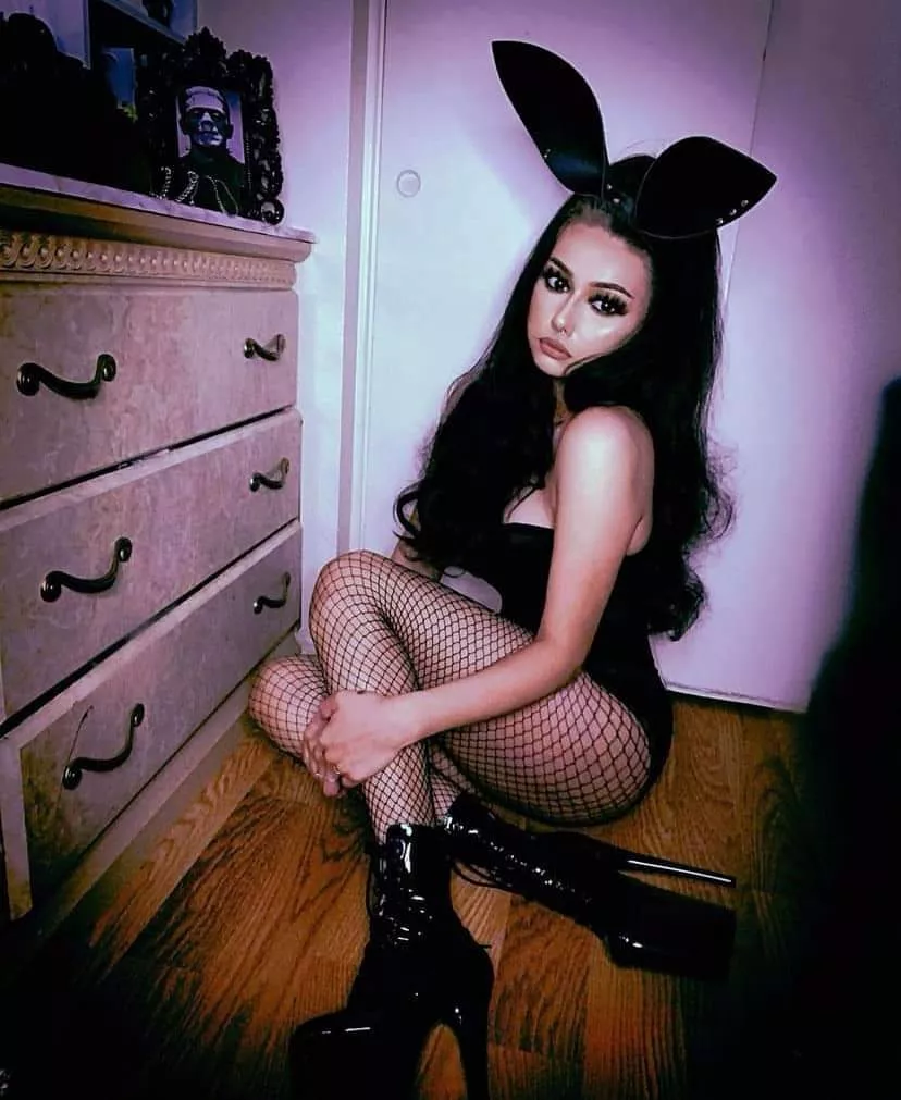 sad bunny in boots