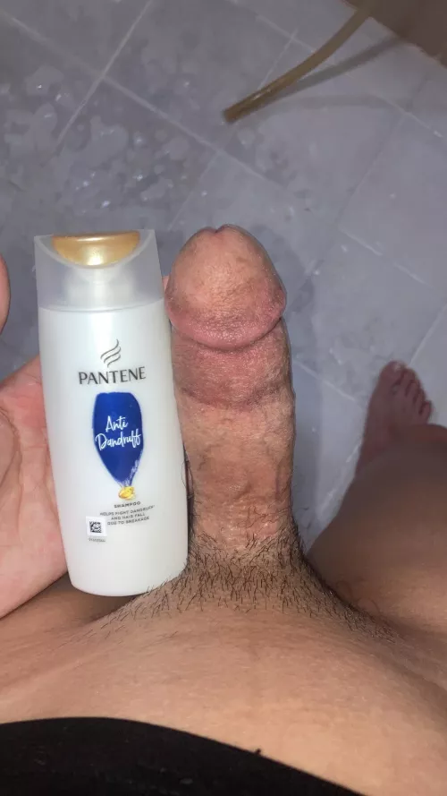 small singaporean cock vs pantene