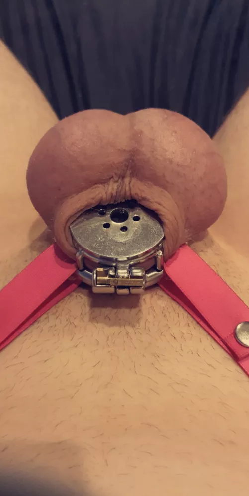 We LOVE an inverted dick 🔒😈