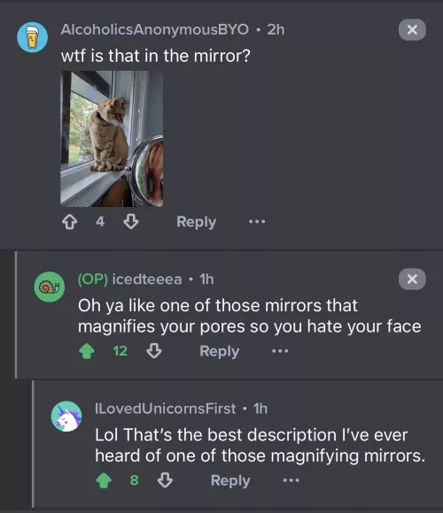 When an imgur comment calls the whole sub out