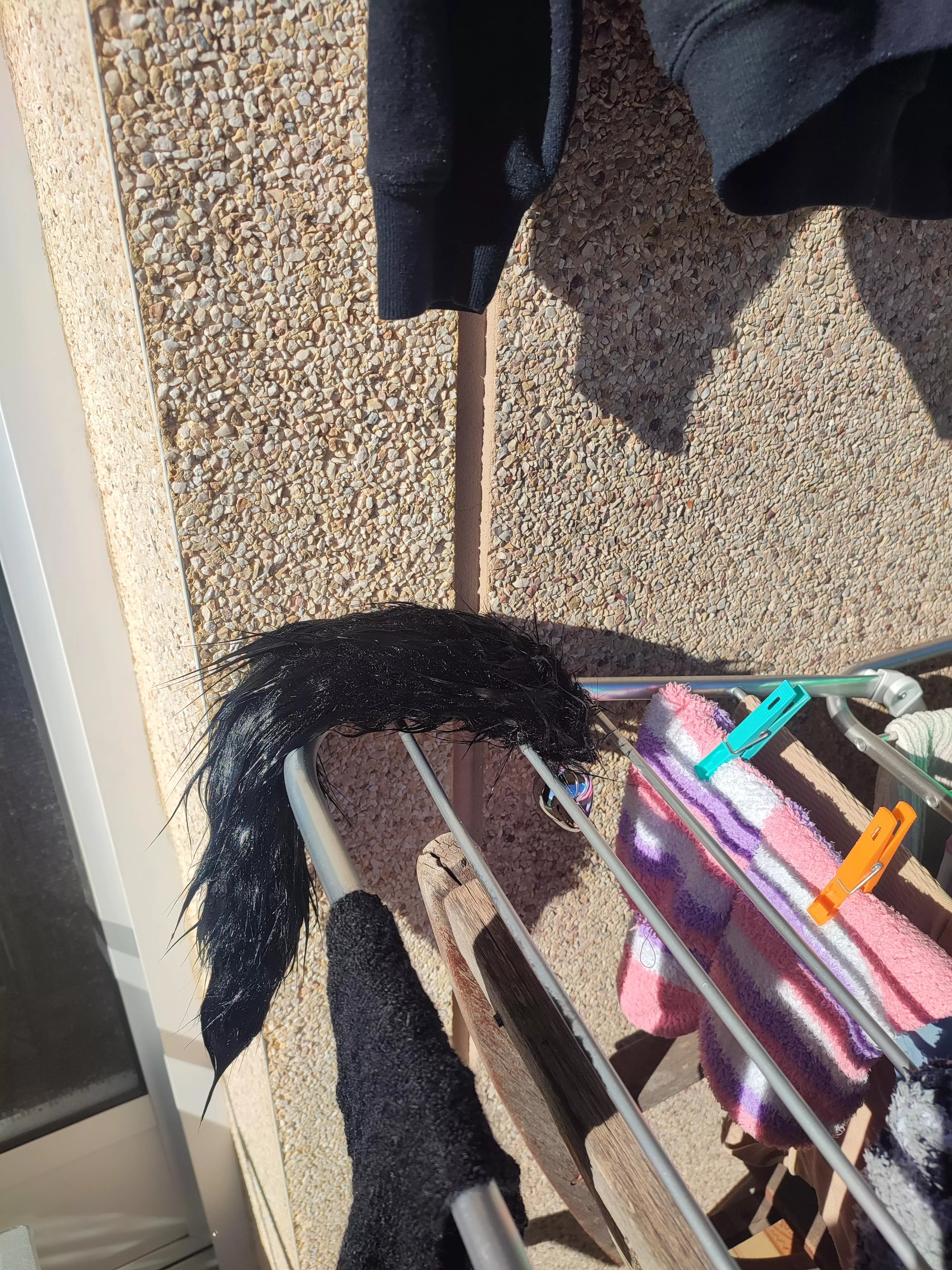 when you got so messy and now you gotta wash your tail and let it dry 🤣🤣 (hope no neighbor sees it)