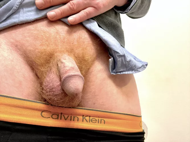 Who likes ginger bush?