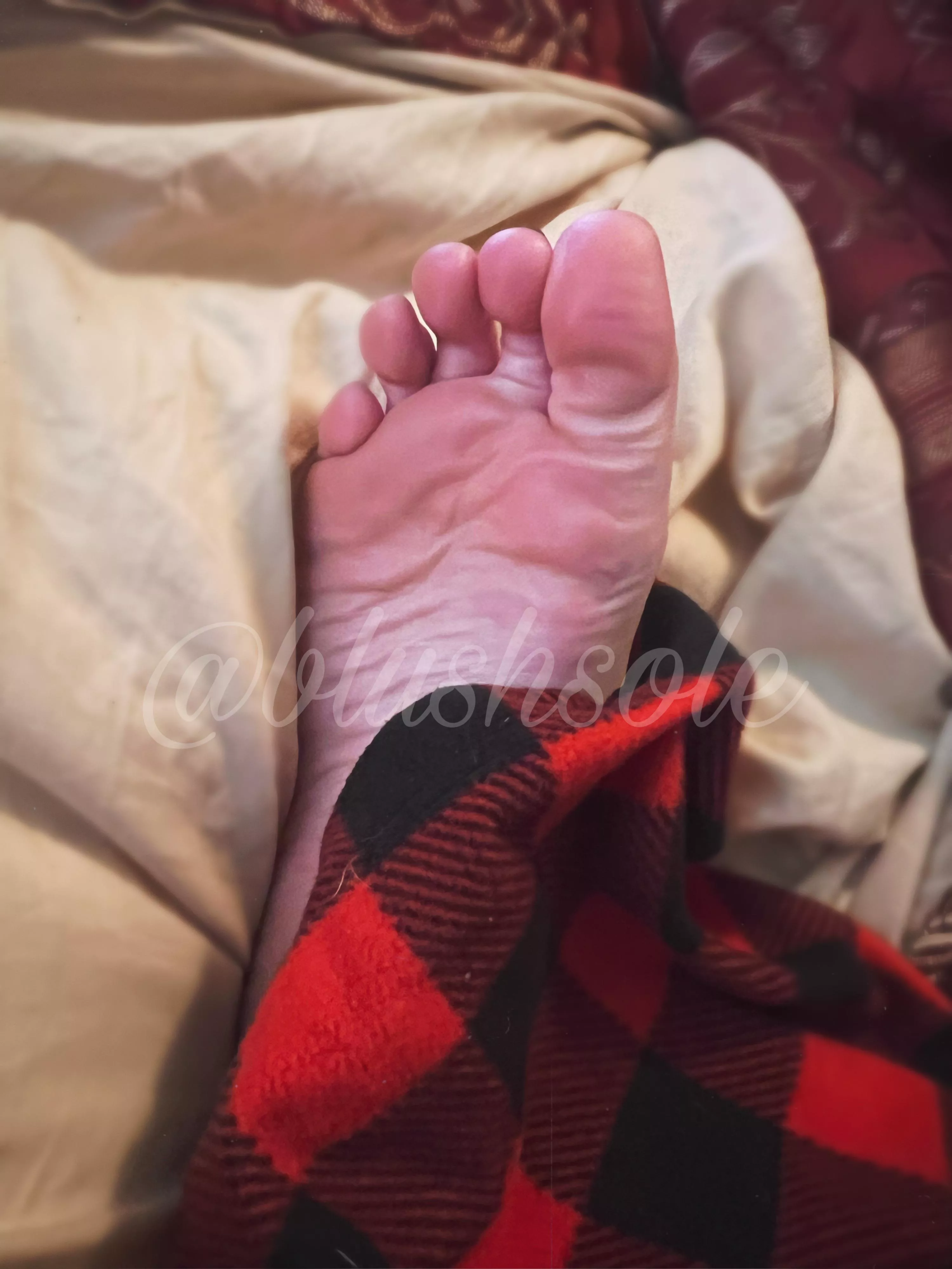 you should be under my feet where you belong 😈🦶🏻