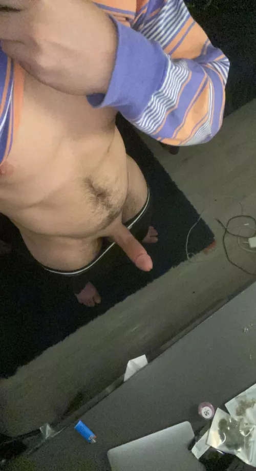 19 dms open