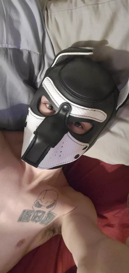 2 more days till the weekend. *wags tail*