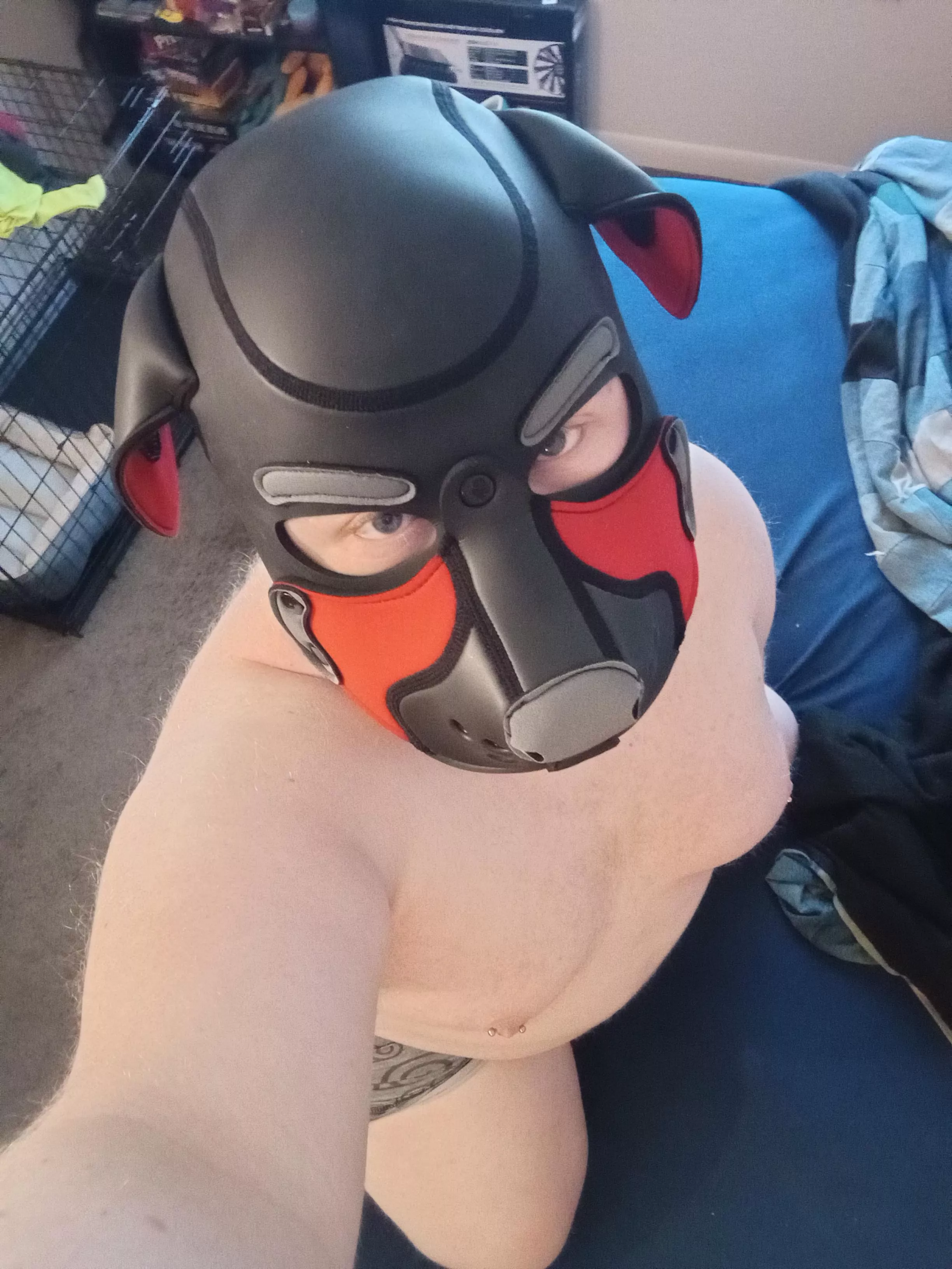 [24] m kik mtgjace3 can this pup get a bone or 2