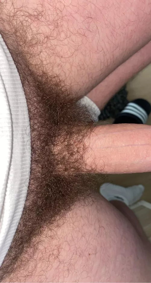 30 m / looking for EXTREM hairy/bushy dicks o n l y live cum with face and maybe for longtherm . Add me if u want cum with me live and Show Face !. Snap : Marc.boy23
