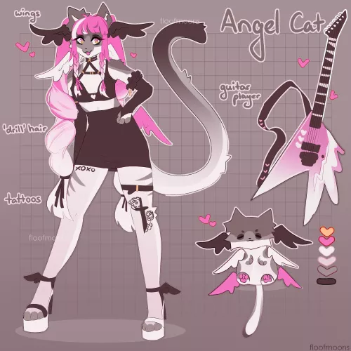 angel cat adoptable!