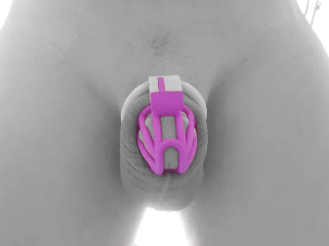 Another night caged and pussy free. 24/7.