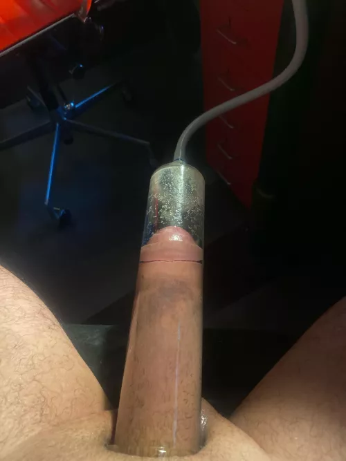 Anybody seeing gains?