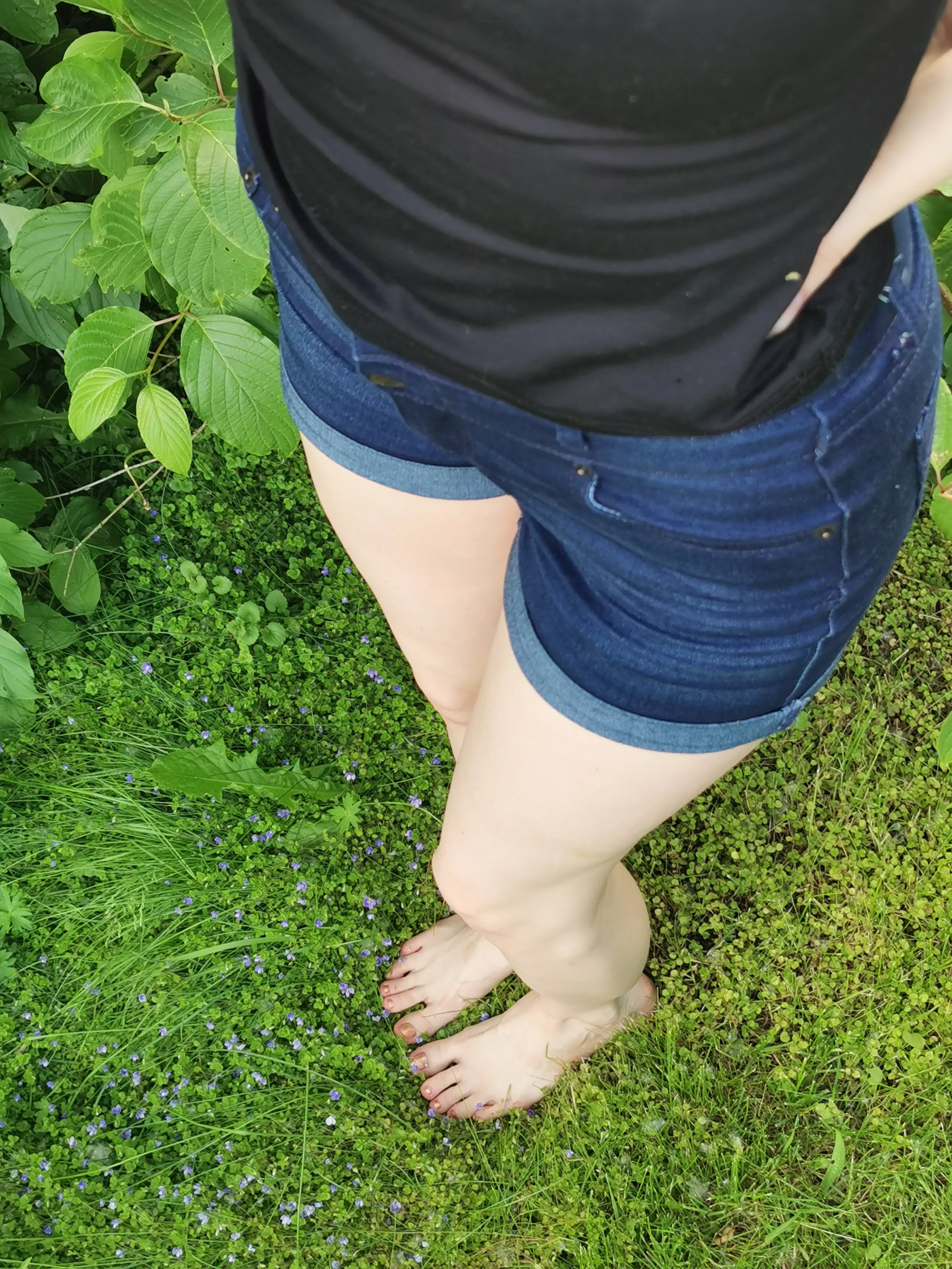 are these pages dead or something? 🥺