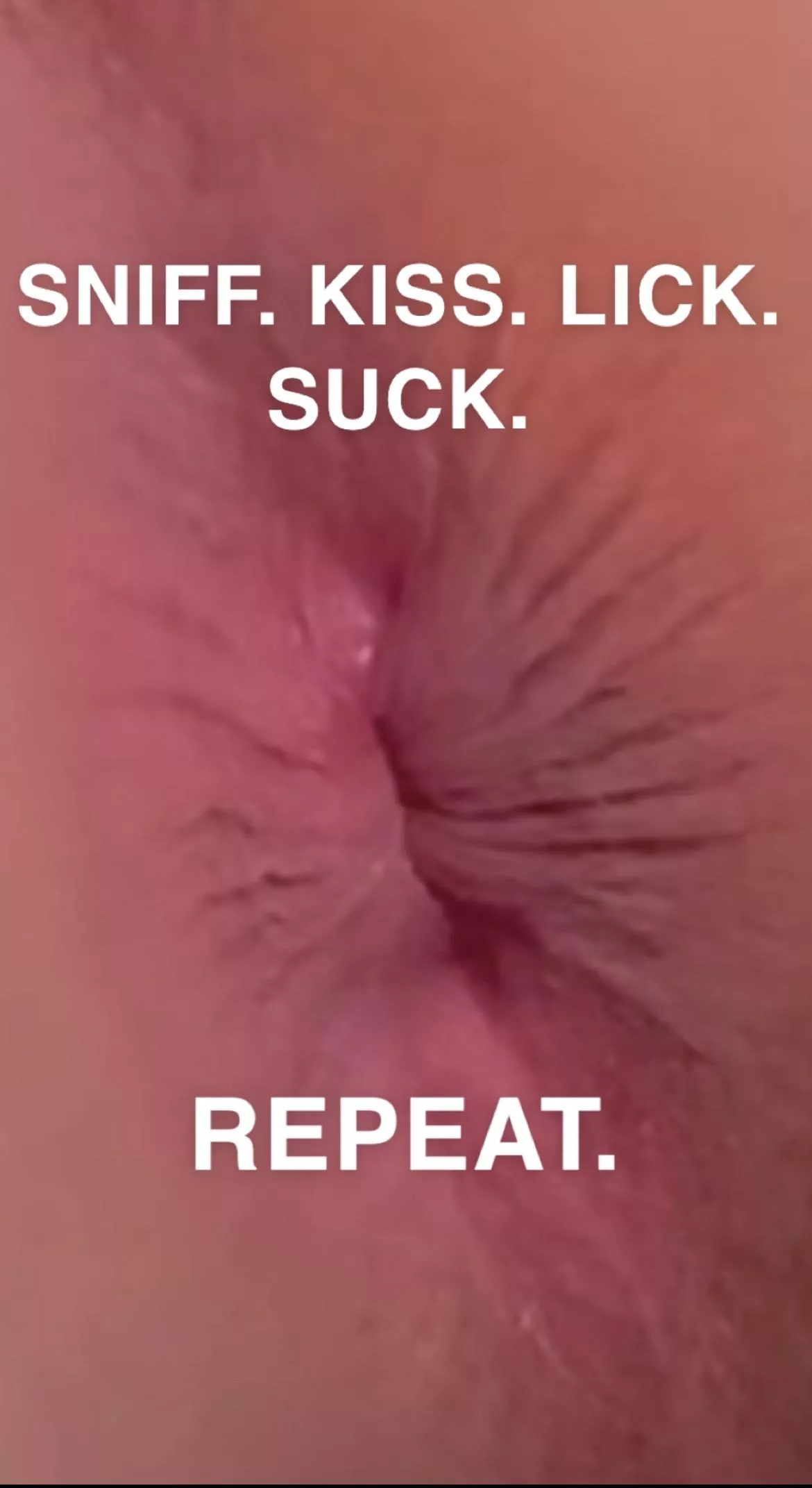Asslicker’s mantra😇😇😌