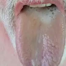 Austin TX Bi Male looking for steady large cock to give deep throat or throat fuck on a regular basis. Please be at least 8