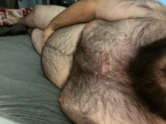 Big and furry, what more could you want to cuddle up to for an extra 45 minutes of play time before work.