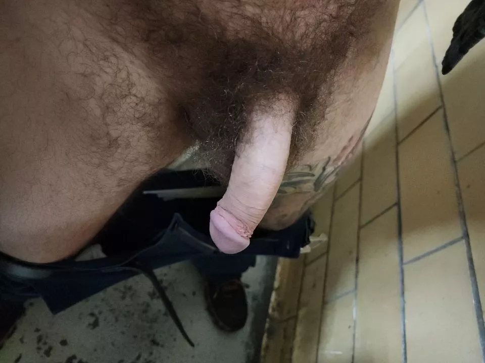 cock and bush