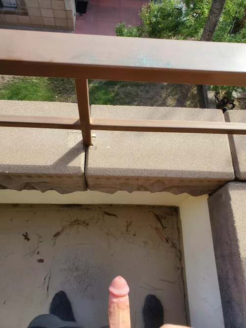 cock out on the hotel balcony