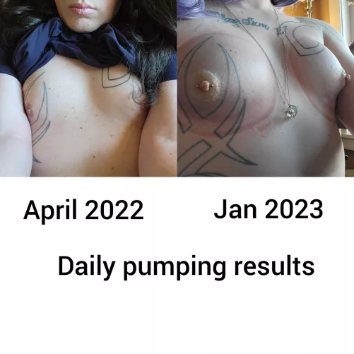 Daily Expansion Results Since April 2022